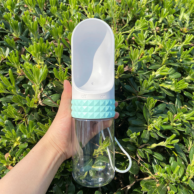 LitMush SipCup | Portable Drinking Bowl